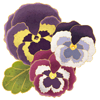 daturastore datura Sticker