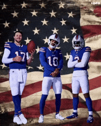 Buffalo Bills Nfl GIF