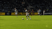 Goal Bundesliga GIF by SK Sturm Graz