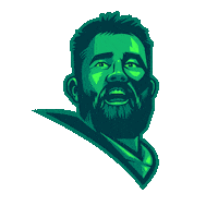 Fly Eagles Fly Football Sticker by Philadelphia Eagles