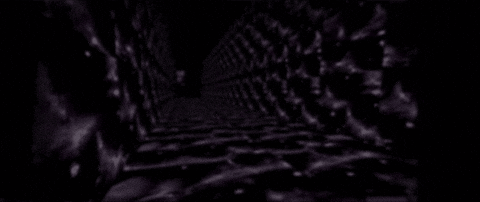 project1010 giphygifmaker GIF