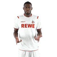 Fc Cologne What Sticker by 1. FC Köln