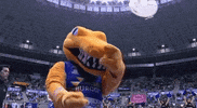 Fiesta Vamos GIF by San Pablo Burgos