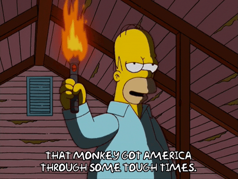 homer simpson GIF
