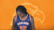 Cnwb19 GIF by Carson-Newman Athletics