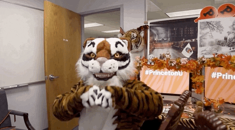 Tiger Mascot GIF by Princeton University