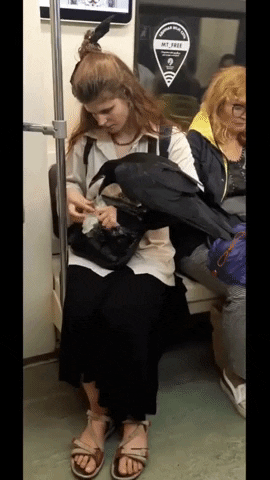 childrenofthenight giphyupload animals witch metro GIF