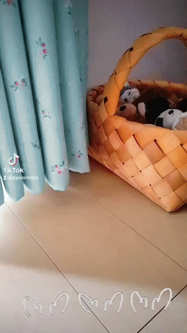 chick people Piyo dance ひよこ人間ぴよダンス