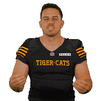 Tiger-Cats Italy Sticker by Hamilton Sports Group