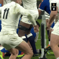 English Yes GIF by Guinness Six Nations