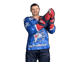 Nick Mattinen Sticker by Adler Mannheim
