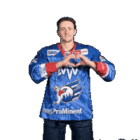 Michaelis Sticker by Adler Mannheim
