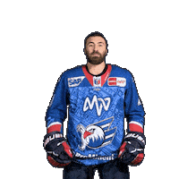 Sticker by Adler Mannheim