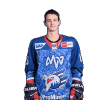 Nick Mähler Sticker by Adler Mannheim