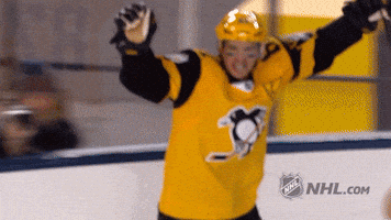 Ice Hockey Celebration GIF by NHL