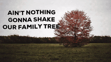 cayleehammack love friends family bff GIF