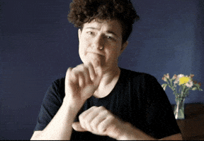 Arrive Road Trip GIF