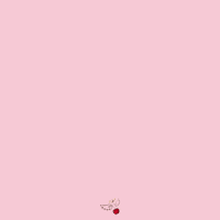 pangabriel cherry vegano gluten free organico GIF