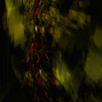 daniel shiffman processing GIF by Adam Ferriss