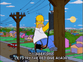 homer simpson GIF