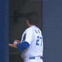 야구 GIF