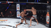 mixed martial arts fight GIF by Bellator