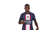 Football Soccer Sticker by Paris Saint-Germain