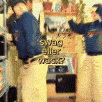sallyshobbies dance swag dans swaggy GIF