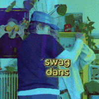 sallyshobbies swag dans mormor sallyshobbies GIF