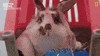 Comedy Awww GIF by Nat Geo Wild