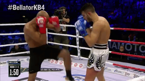 GIF by Bellator