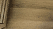 wait for it wink GIF by SoulPancake