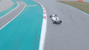 GIF by W Series