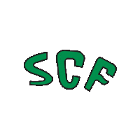 Scf Faro Sticker by Sporting Clube Farense