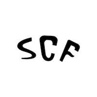 Scf Faro Sticker by Sporting Clube Farense