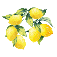 aguadaspedraspt natural agua gas fruta Sticker