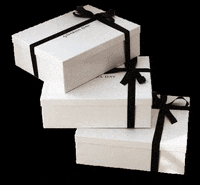bydariiaday gift box bydariiaday by dariia day GIF