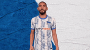 Bundesliga Berlin GIF by Hertha BSC