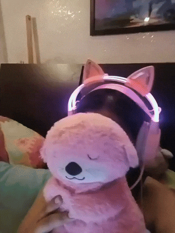 giphyupload GIF