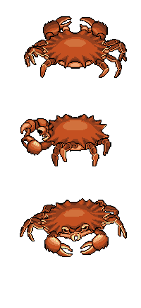 Crabs Sticker