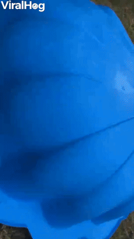 Sneaky Baby has the Perfect Disguise