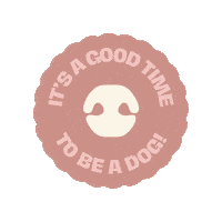 Mywunderdogae dubai uae woof wunderdog Sticker