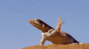 GIF by Vulture.com