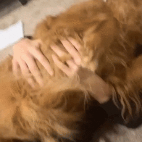 carsonruen mya ruen GIF