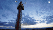 V8 Supercars Sunset GIF by Supercars Championship