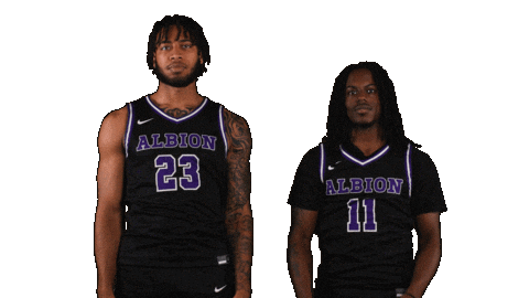 Ppp D3 Sticker by Albion College