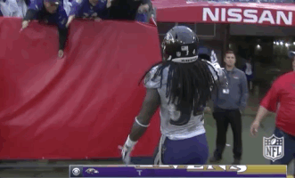 2018 Nfl Football GIF by NFL