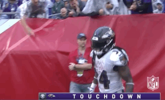 2018 Nfl Football GIF by NFL