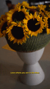 Flower Go GIF by Plant Economy