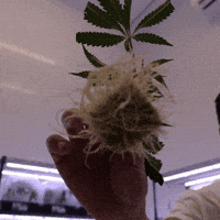 Grow Growing Pains GIF by Exclusive Brands